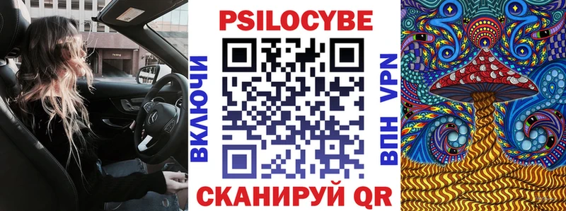 Псилоцибиновые грибы Psilocybe  где можно купить   мориарти формула  Ярославль 